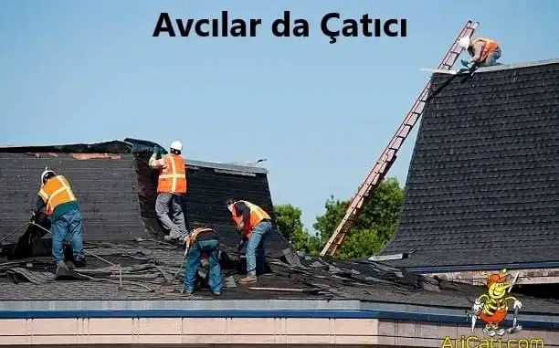 avcilar-da-catici Avcılar da Çatıcı
