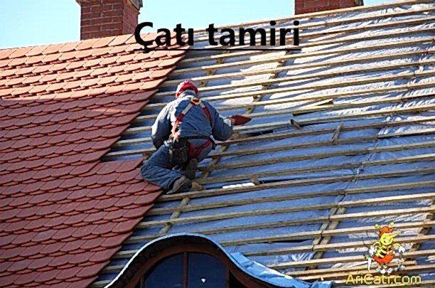 Çatı tamiri-Çatı tamiri ustası, hizmetlerimiz