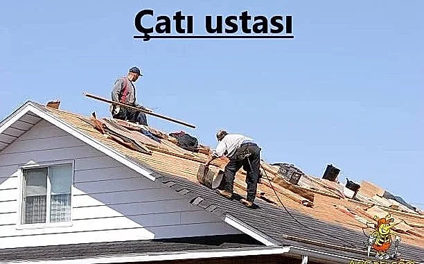 cati-ustasi, hizmetlerimiz, bölgelerimiz Çatı ustası-Arı Çatı ustası, hizmetlerimiz, bölgelerimiz