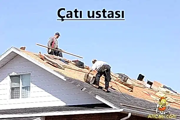 Çatı ustası-Arı Çatı ustası, hizmetlerimiz, bölgelerimiz