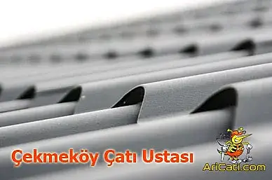 Çekmeköy Çatı Ustası-Çekmeköy çatıcı