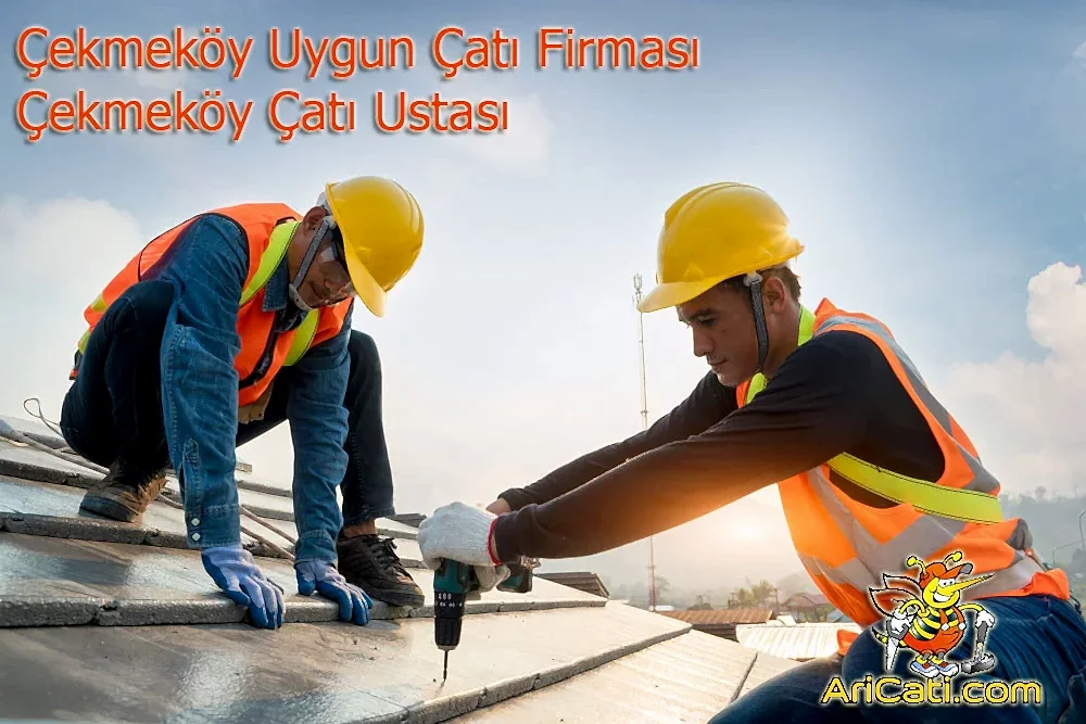 Çekmeköy uygun çatı firması