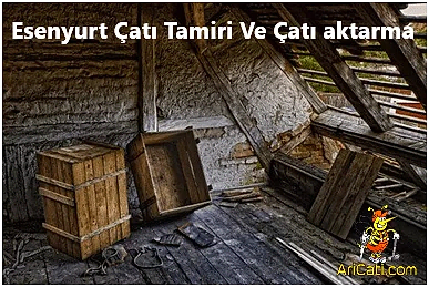 Esenyurt Çatı Ustası, Esenyurt çatı yapımı,Esenyurt çatı firması,Esenyurt çatı tamiri ve çatı aktarma