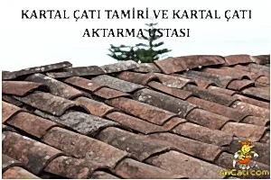 Kartal Çatı Aktarma Ustası,Kartal Çatı Tamiri