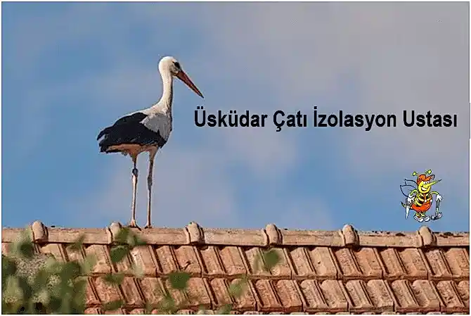 Üsküdar çatı İzolasyon ustası, Üsküdar izolasyoncu,çatı izolasyon yapımı