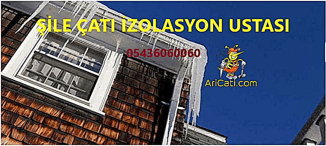 Şile Çatı İzolasyon Ustası