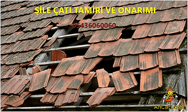 Şile çatı tamiri, Şile çatı onarma, Şile çatı tamirat ustası, Çatı tamiri yapam firmalar Şile