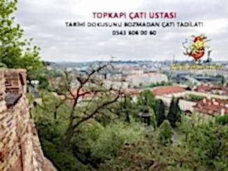 Topkapı çatı Ustası